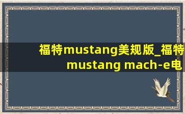 福特mustang美规版_福特mustang mach-e电池